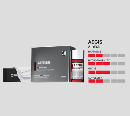 Aegis - 2 Year Protection